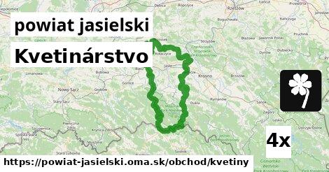 Kvetinárstvo, powiat jasielski