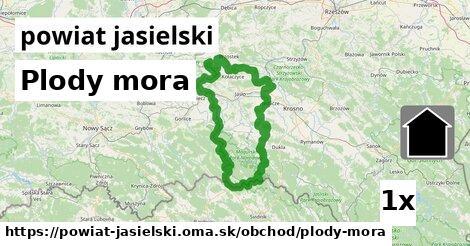 Plody mora, powiat jasielski