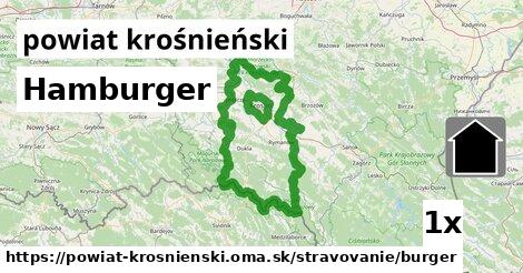 Hamburger, powiat krośnieński