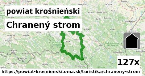 Chranený strom, powiat krośnieński