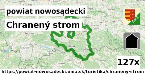 Chranený strom, powiat nowosądecki