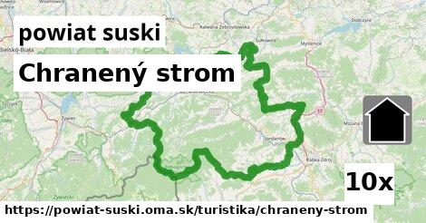 Chranený strom, powiat suski