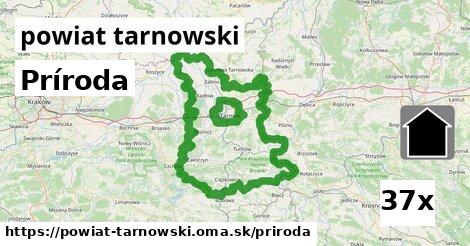 príroda v powiat tarnowski