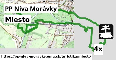 Miesto, PP Niva Morávky