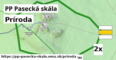 príroda v PP Pasecká skála