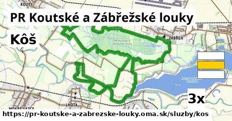 kôš v PR Koutské a Zábřežské louky