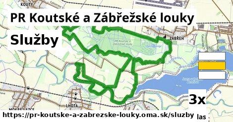 služby v PR Koutské a Zábřežské louky