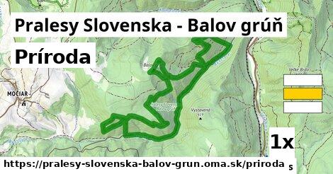 príroda v Pralesy Slovenska - Balov grúň