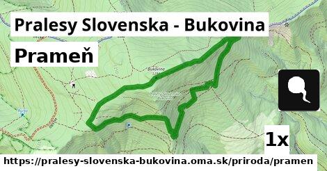 prameň v Pralesy Slovenska - Bukovina