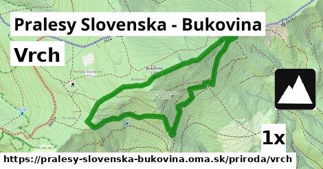 Vrch, Pralesy Slovenska - Bukovina