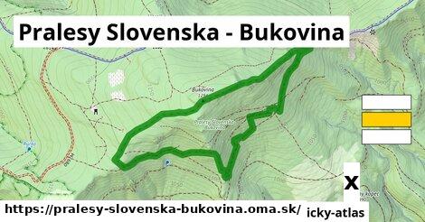 pitná voda v Pralesy Slovenska - Bukovina