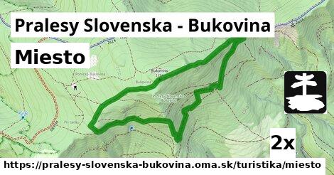 Miesto, Pralesy Slovenska - Bukovina