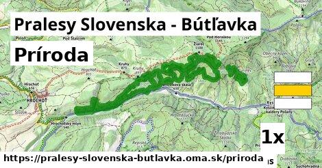 príroda v Pralesy Slovenska - Bútľavka