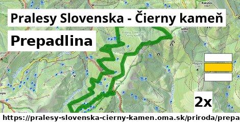 Prepadlina, Pralesy Slovenska - Čierny kameň