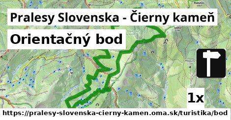 Orientačný bod, Pralesy Slovenska - Čierny kameň