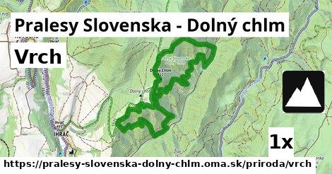Vrch, Pralesy Slovenska - Dolný chlm