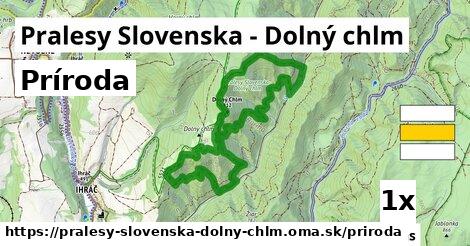 príroda v Pralesy Slovenska - Dolný chlm