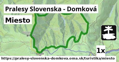 Miesto, Pralesy Slovenska - Domková