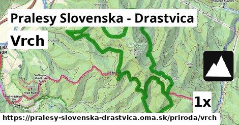 vrch v Pralesy Slovenska - Drastvica