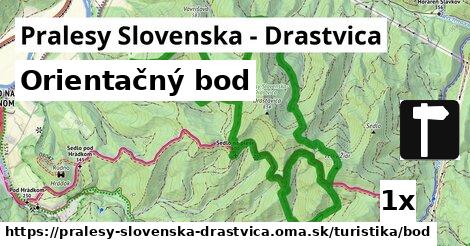 Orientačný bod, Pralesy Slovenska - Drastvica