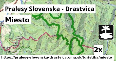 Miesto, Pralesy Slovenska - Drastvica