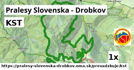 KST, Pralesy Slovenska - Drobkov