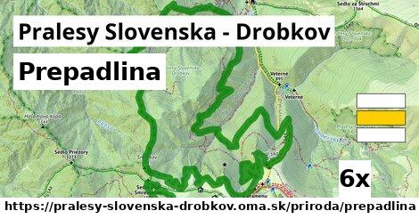 Prepadlina, Pralesy Slovenska - Drobkov