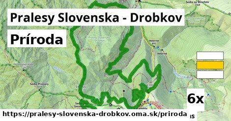 príroda v Pralesy Slovenska - Drobkov