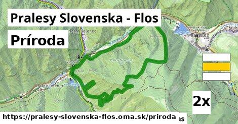 príroda v Pralesy Slovenska - Flos