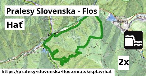 Hať, Pralesy Slovenska - Flos