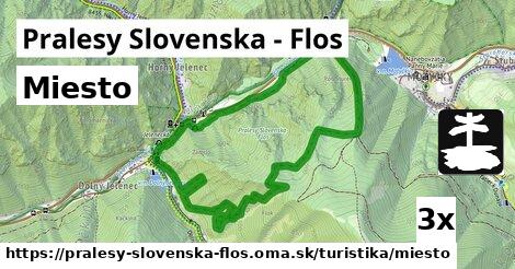 Miesto, Pralesy Slovenska - Flos