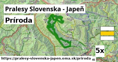 príroda v Pralesy Slovenska - Japeň