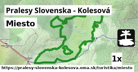 Miesto, Pralesy Slovenska - Kolesová