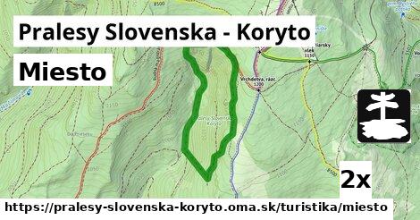Miesto, Pralesy Slovenska - Koryto