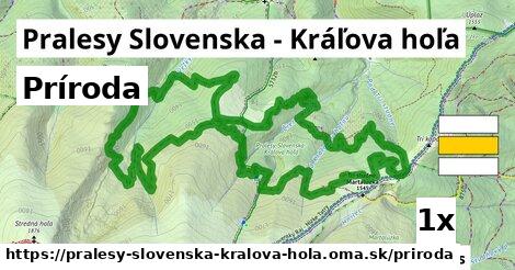 príroda v Pralesy Slovenska - Kráľova hoľa