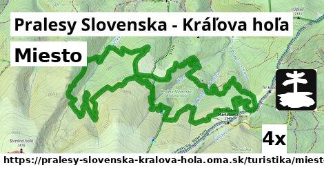 Miesto, Pralesy Slovenska - Kráľova hoľa