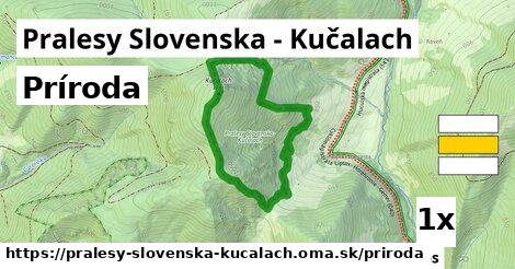 príroda v Pralesy Slovenska - Kučalach