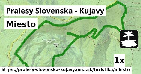 Miesto, Pralesy Slovenska - Kujavy