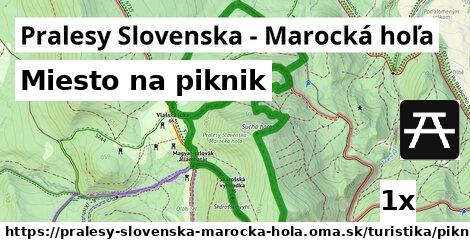 Miesto na piknik, Pralesy Slovenska - Marocká hoľa
