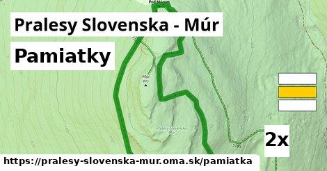 pamiatky v Pralesy Slovenska - Múr