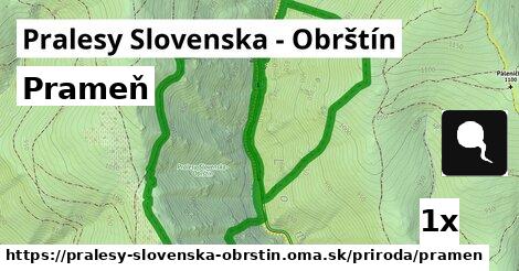 Prameň, Pralesy Slovenska - Obrštín