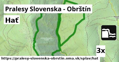 Hať, Pralesy Slovenska - Obrštín