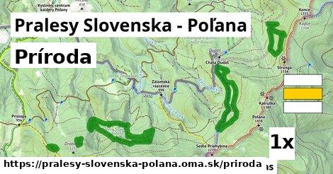 príroda v Pralesy Slovenska - Poľana