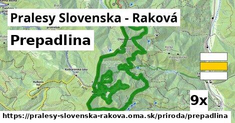 Prepadlina, Pralesy Slovenska - Raková