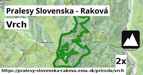 Vrch, Pralesy Slovenska - Raková