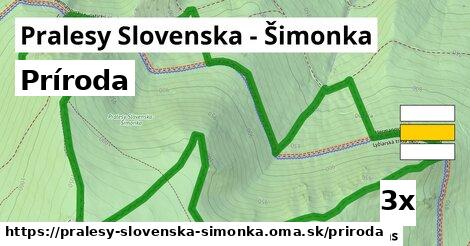 príroda v Pralesy Slovenska - Šimonka