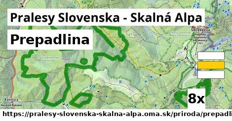 Prepadlina, Pralesy Slovenska - Skalná Alpa