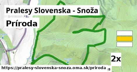 príroda v Pralesy Slovenska - Snoža