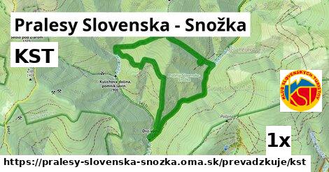 KST, Pralesy Slovenska - Snožka