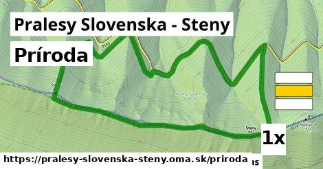 príroda v Pralesy Slovenska - Steny